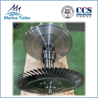 Rotor Shaft Assembly For Axial Flow Turbine  Marine