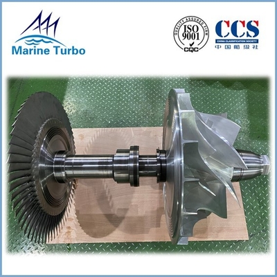 Rotor Shaft Assembly For Axial Flow Turbine  Marine
